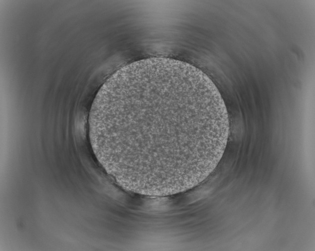 X0000110940334200907171613