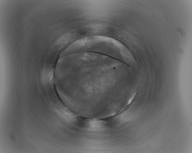 X0000110940336200907171613