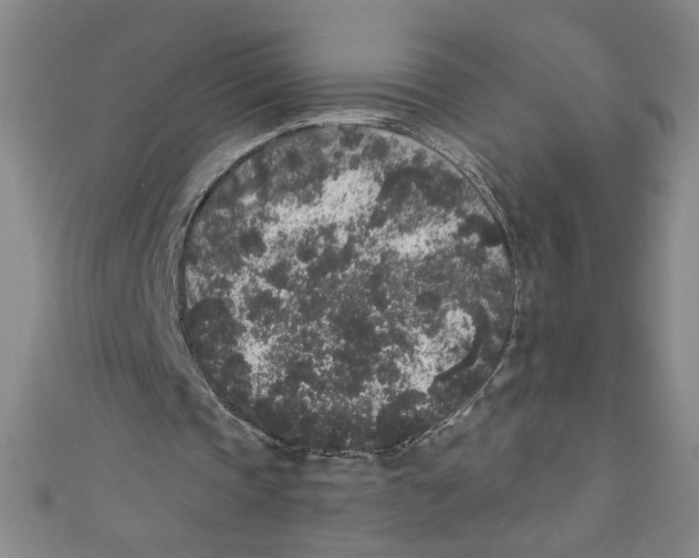 X0000110940337200907171612