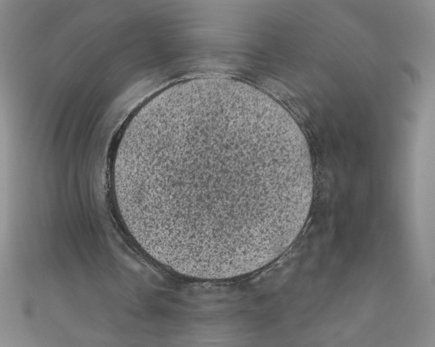 X0000110940338200907171612
