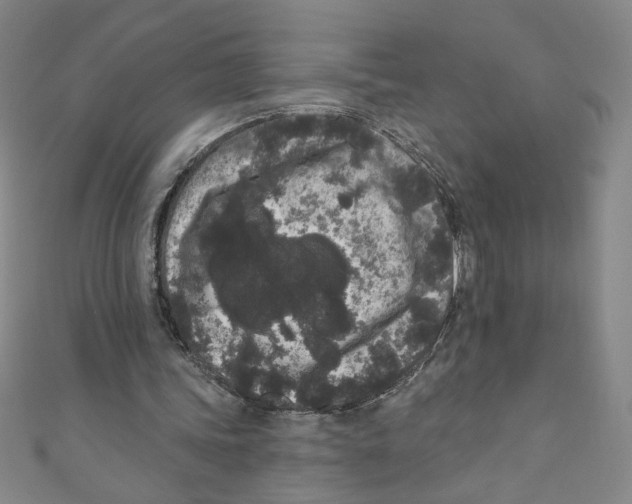 X0000110940339200907171612