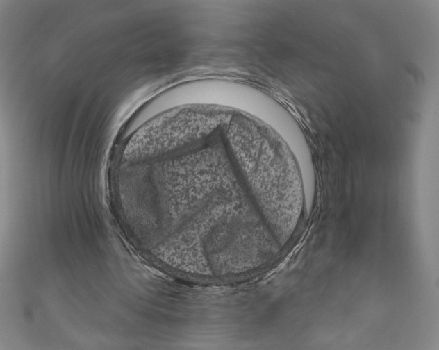 X0000110940340200907171612