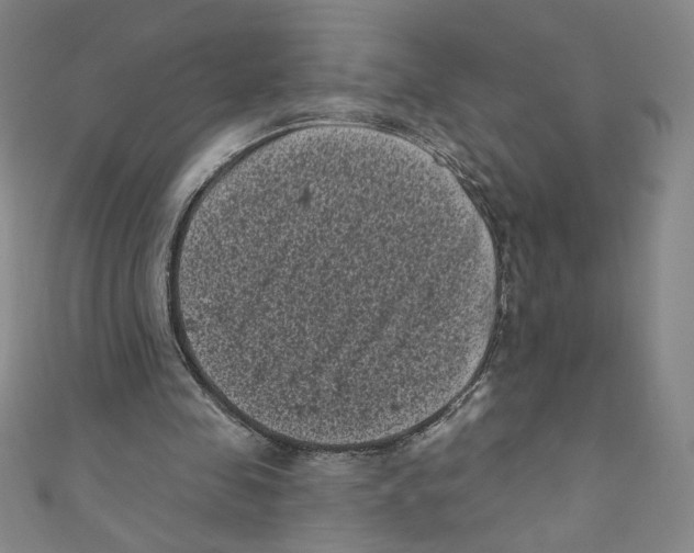 X0000110940341200907171612