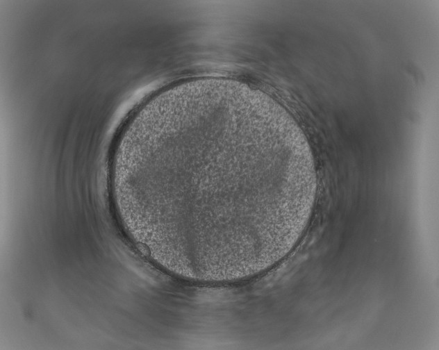 X0000110940342200907171612