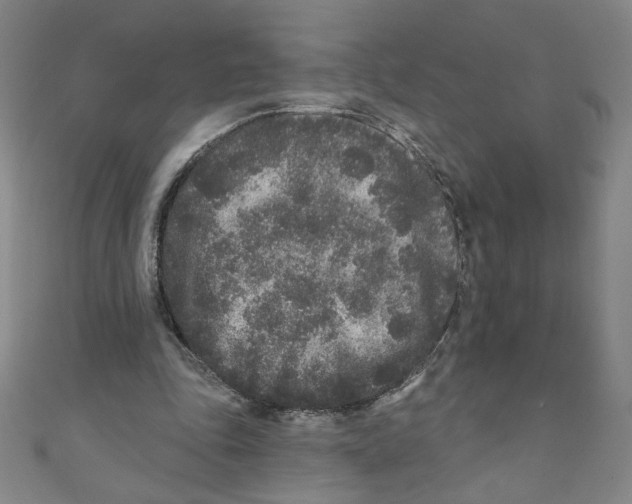 X0000110940343200907171612