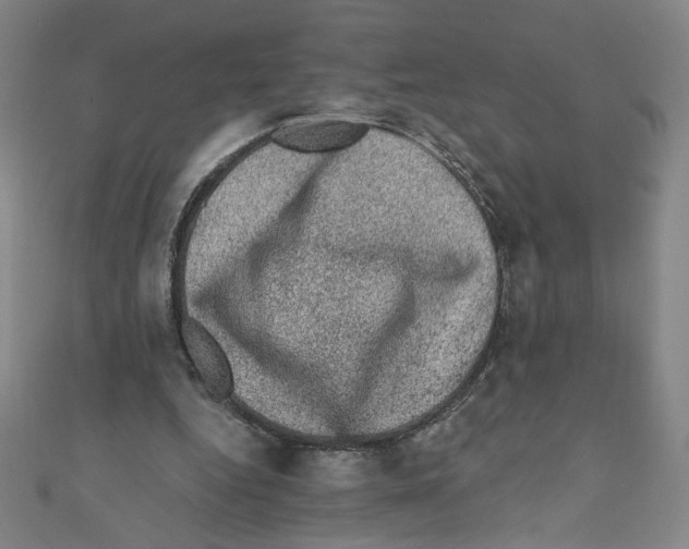 X0000110940344200907171612