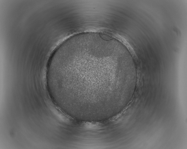 X0000110940346200907171612
