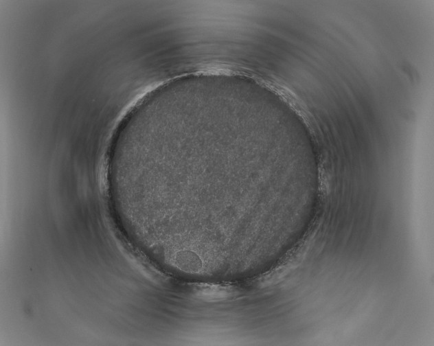X0000110940347200907171612