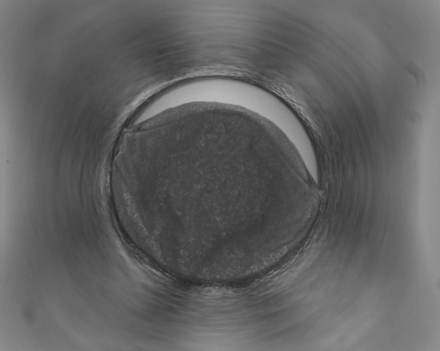 X0000110940348200907171612