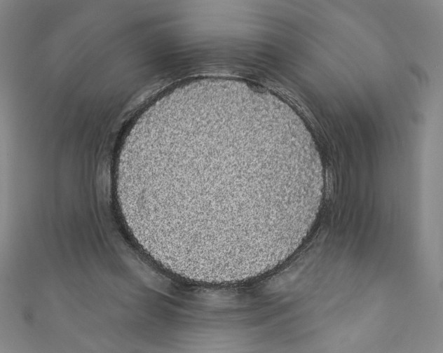 X0000110940349200907171612