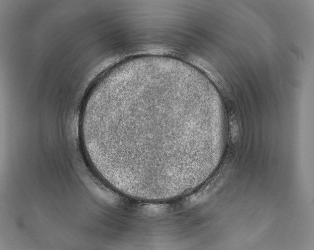 X0000110940350200907171612