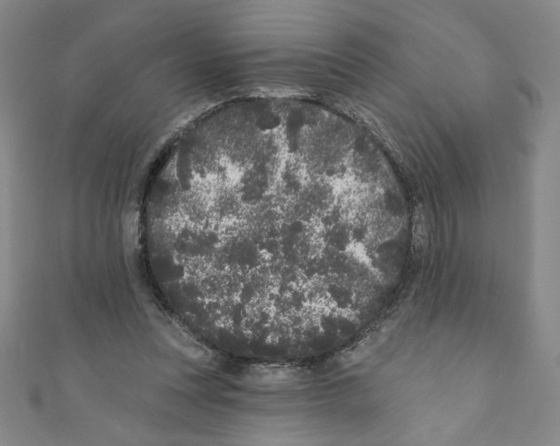 X0000110940351200907171612