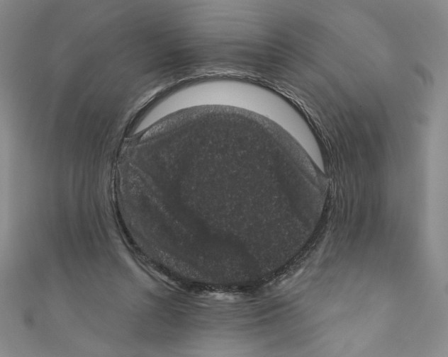 X0000110940352200907171612