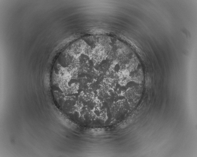 X0000110940353200907171613