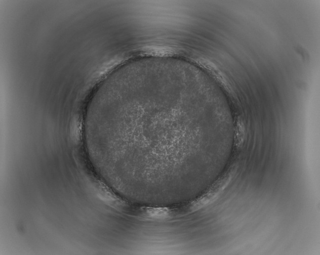 X0000110940355200907171613