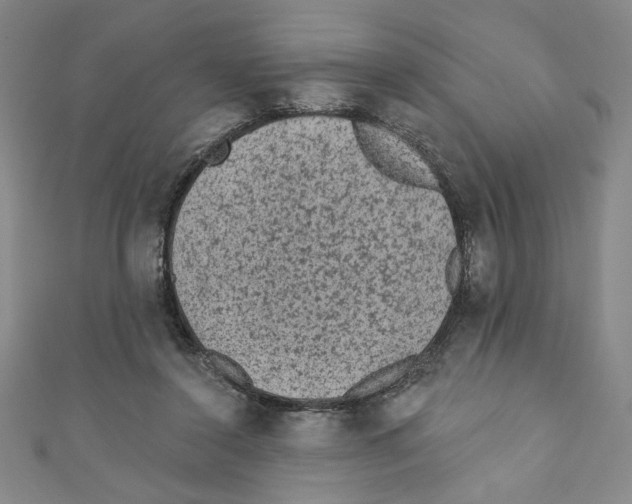 X0000110940356200907171613