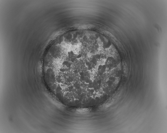 X0000110940357200907171613