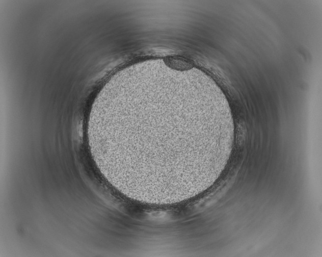 X0000110940358200907171613