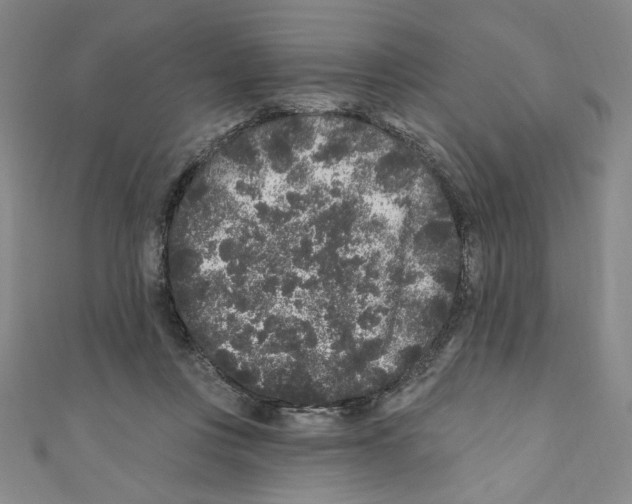 X0000110940359200907171613