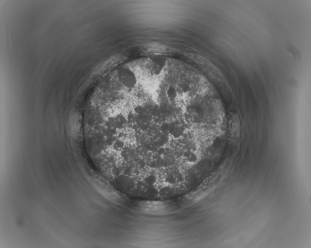 X0000110940361200907171613