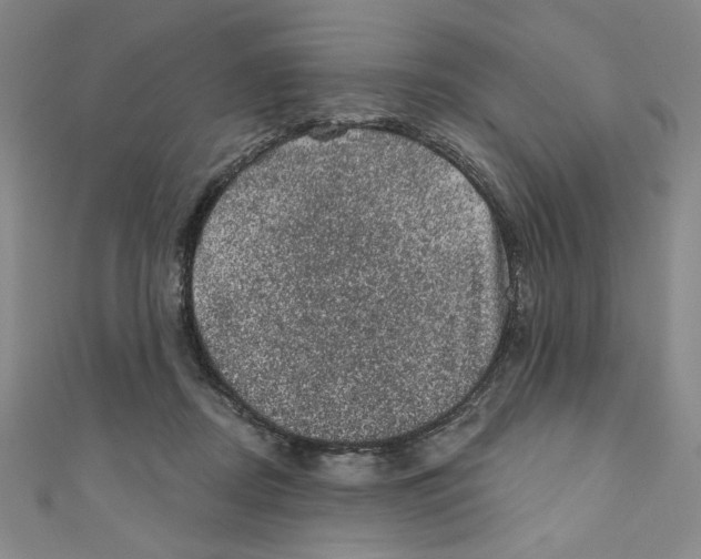 X0000110940362200907171613