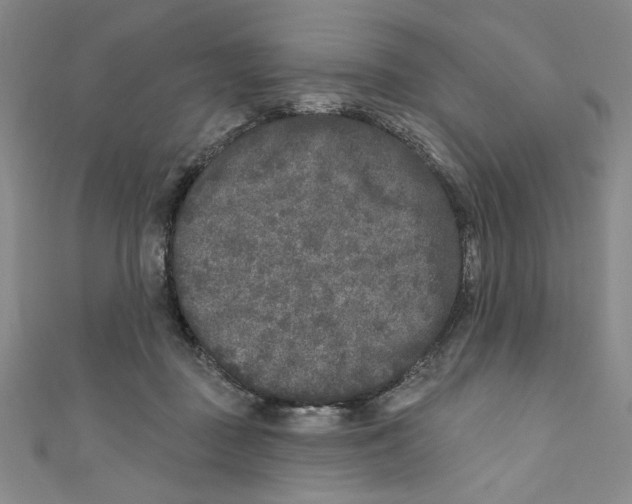 X0000110940363200907171613