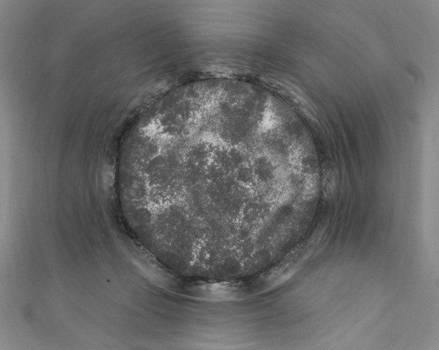 X0000110940365200907171613