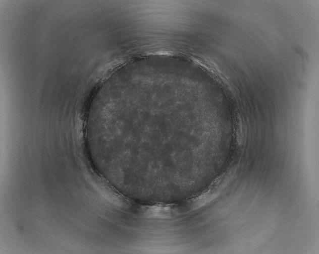 X0000110940366200907171613