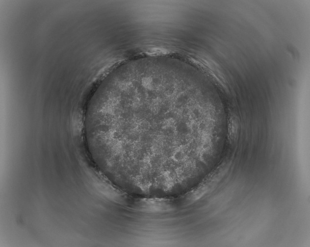X0000110940367200907171613