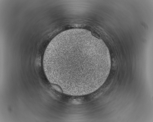X0000110940368200907171613