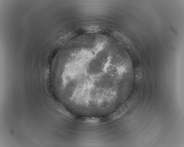X0000110940369200907171613