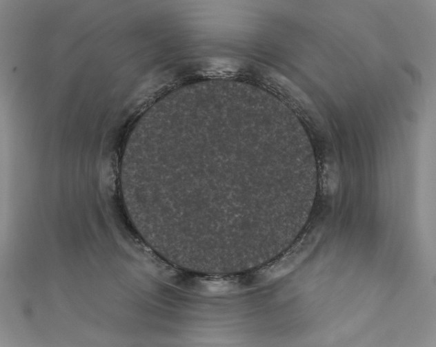 X0000110940370200907171613