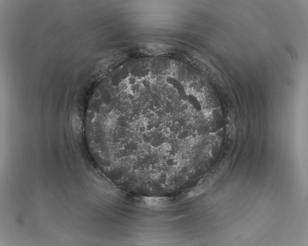 X0000110940371200907171613