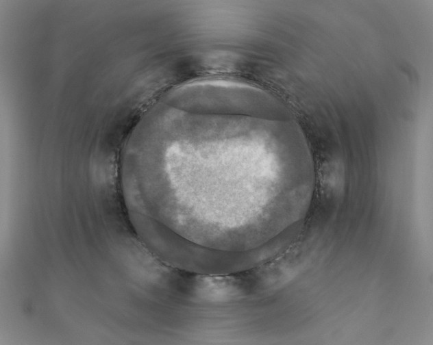 X0000110940372200907171613