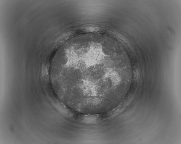 X0000110940373200907171613