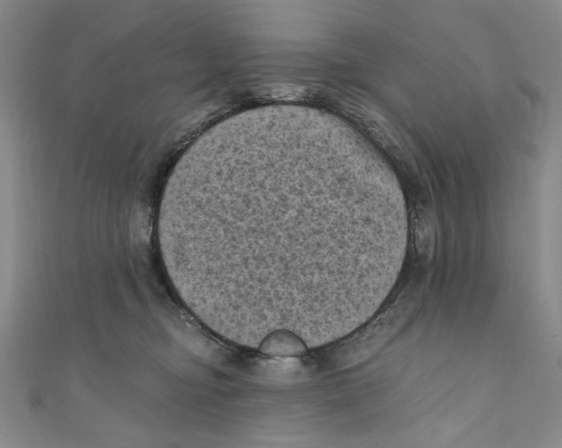 X0000110940374200907171613