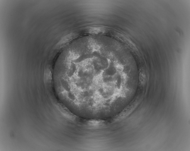 X0000110940375200907171613
