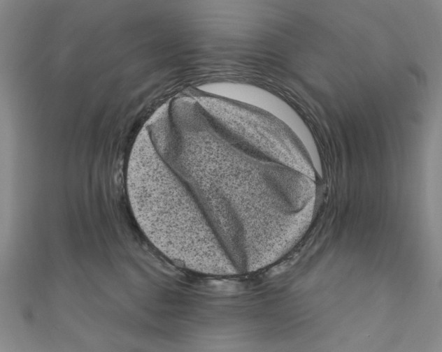 X0000110940376200907171613
