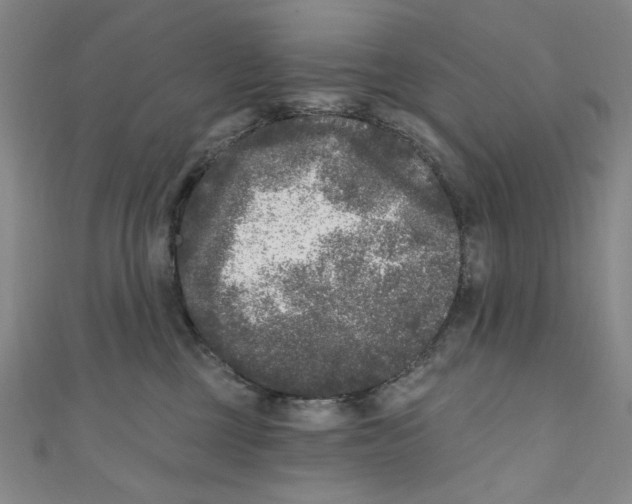 X0000110940377200907171613