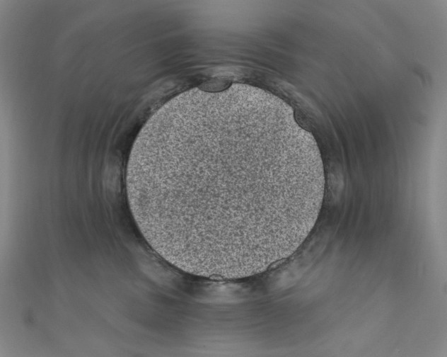 X0000110940379200907171613