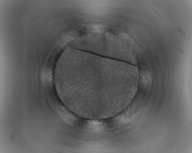 X0000110940380200907171613