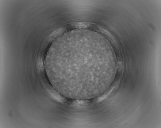 X0000110940381200907171613