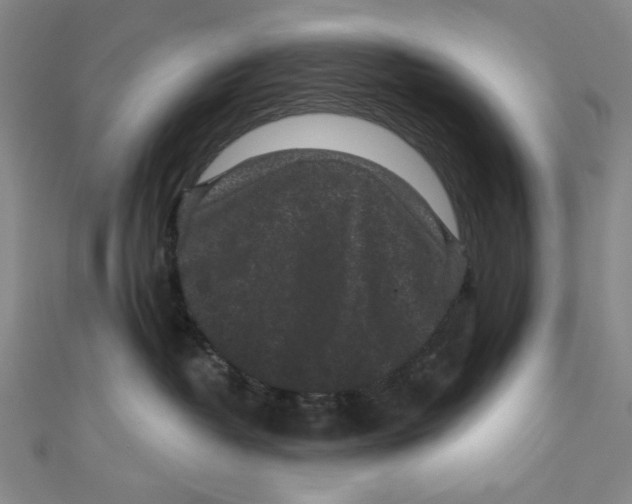 X0000110940382200907171613