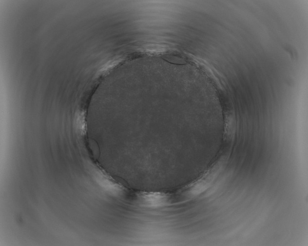 X0000110940383200907171613