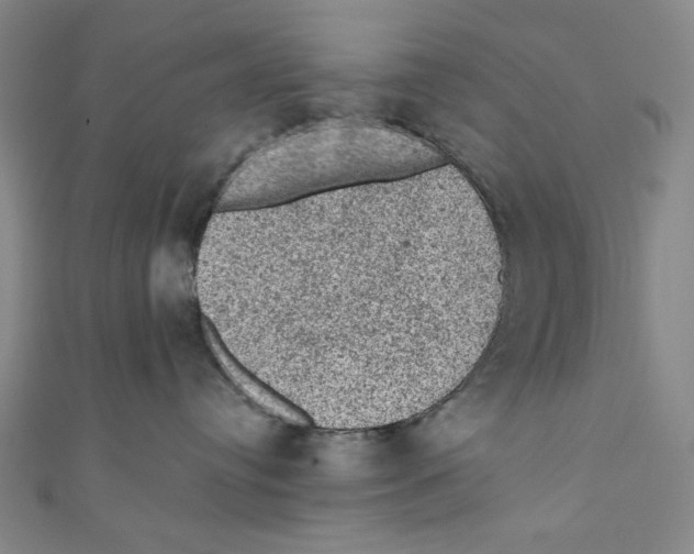 X0000110940384200907171613