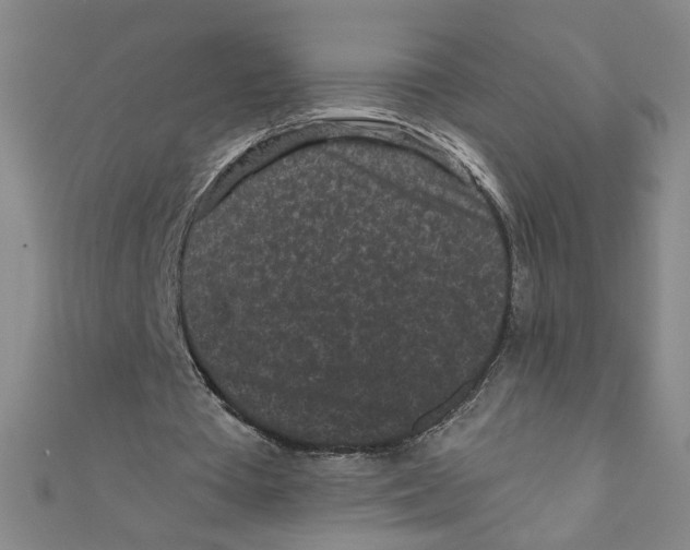 X0000110940385200907171612