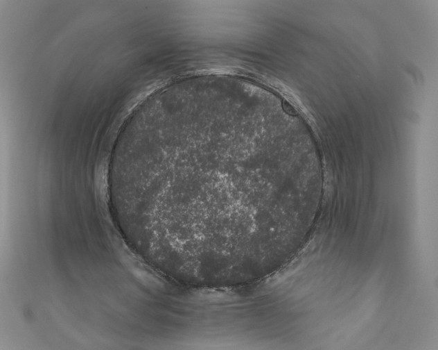 X0000110940386200907171612