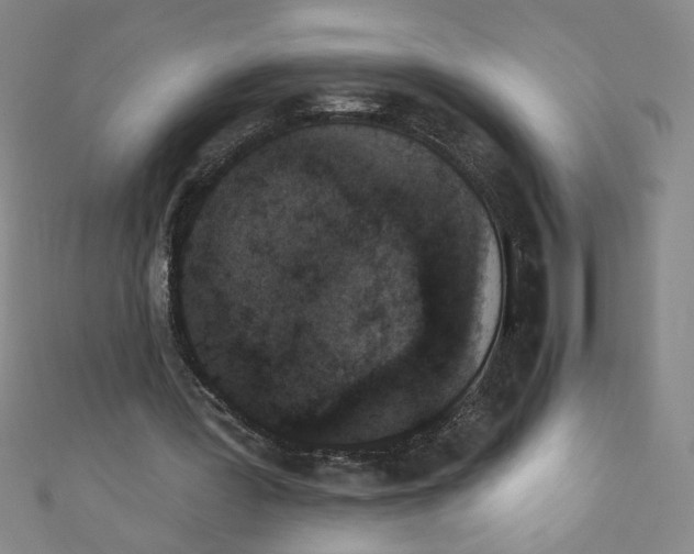 X0000110940387200907171612