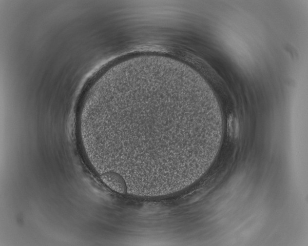X0000110940388200907171612