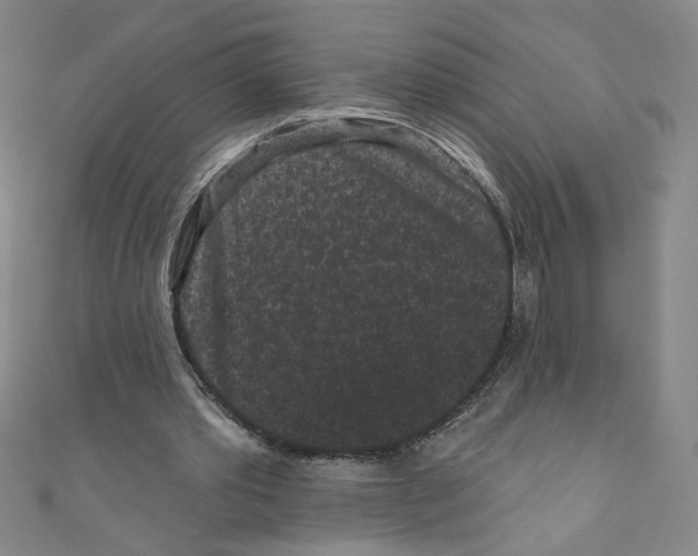 X0000110940389200907171612